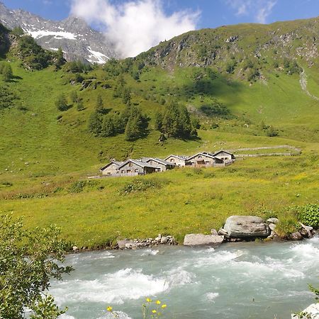 Gaestehaus Zedlacherhof Matrei in Osttirol Bagian luar foto
