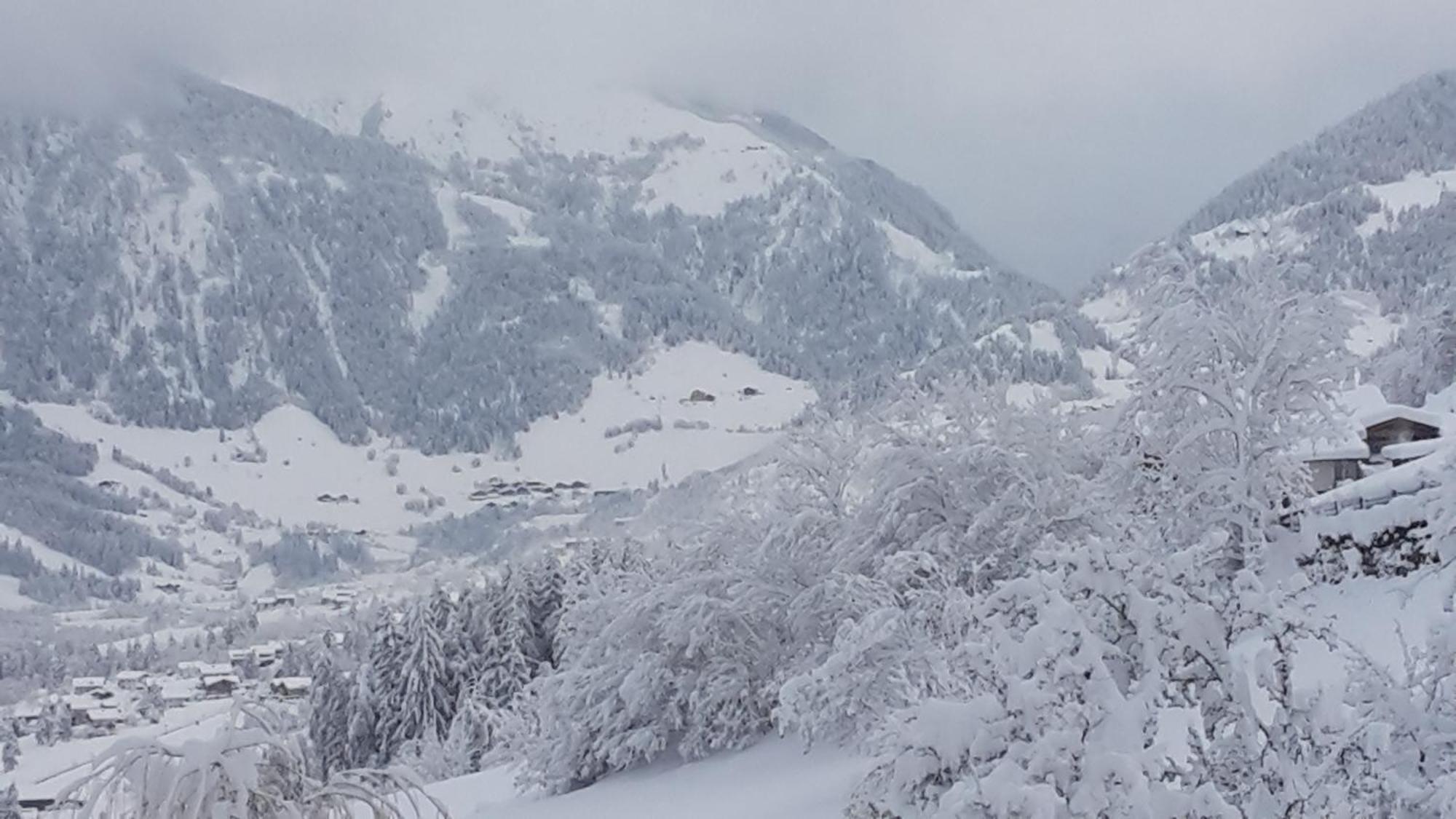 Gaestehaus Zedlacherhof Matrei in Osttirol Bagian luar foto
