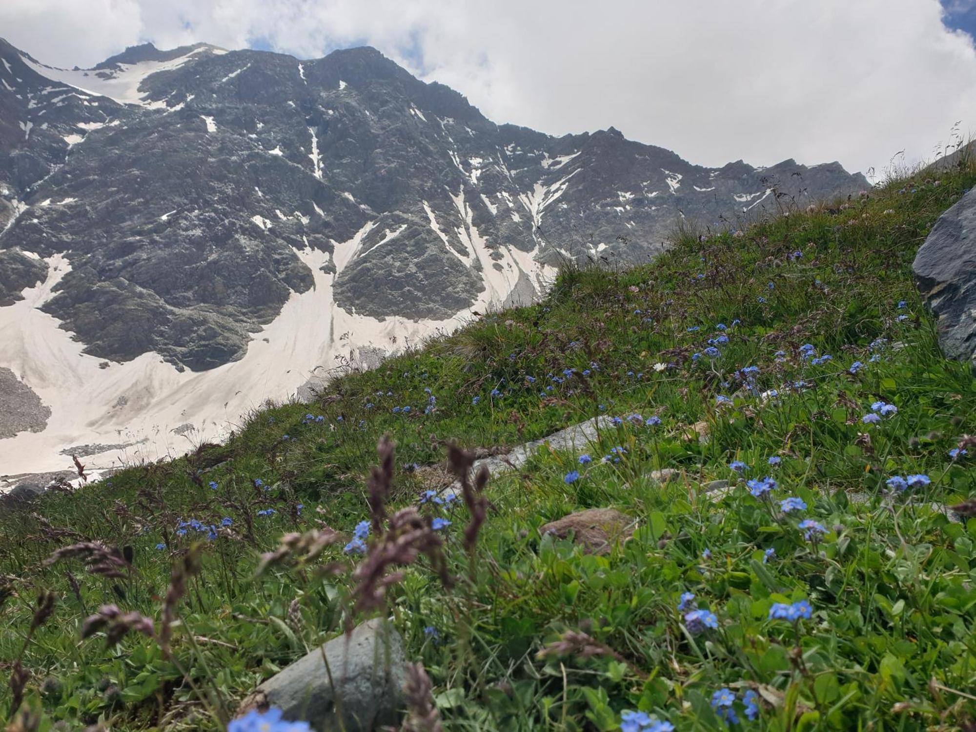 Gaestehaus Zedlacherhof Matrei in Osttirol Bagian luar foto