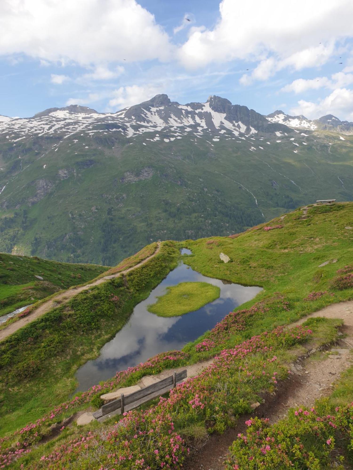 Gaestehaus Zedlacherhof Matrei in Osttirol Bagian luar foto