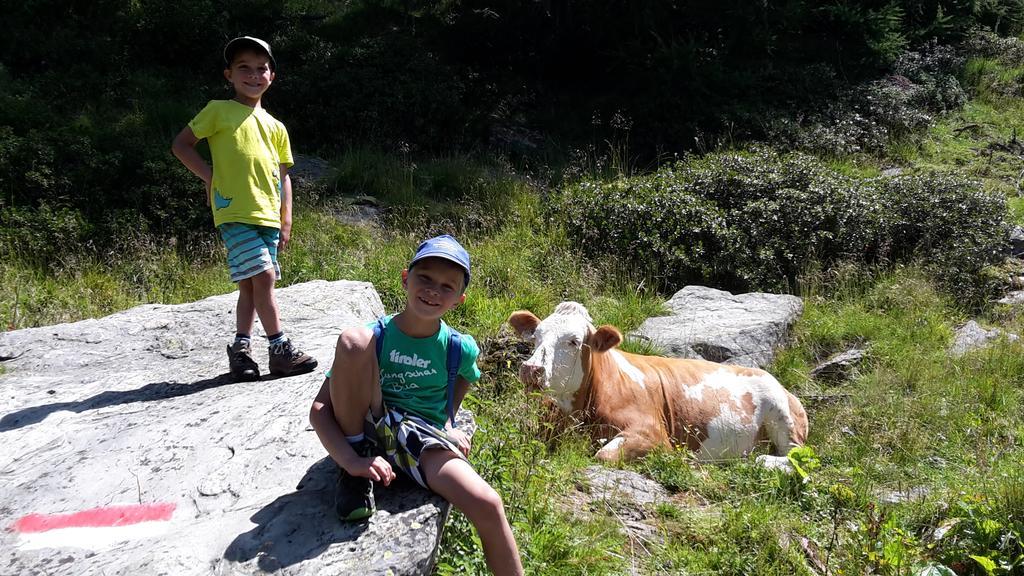 Gaestehaus Zedlacherhof Matrei in Osttirol Bagian luar foto