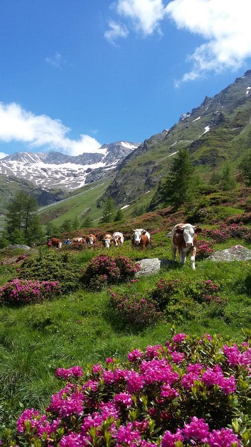 Gaestehaus Zedlacherhof Matrei in Osttirol Bagian luar foto