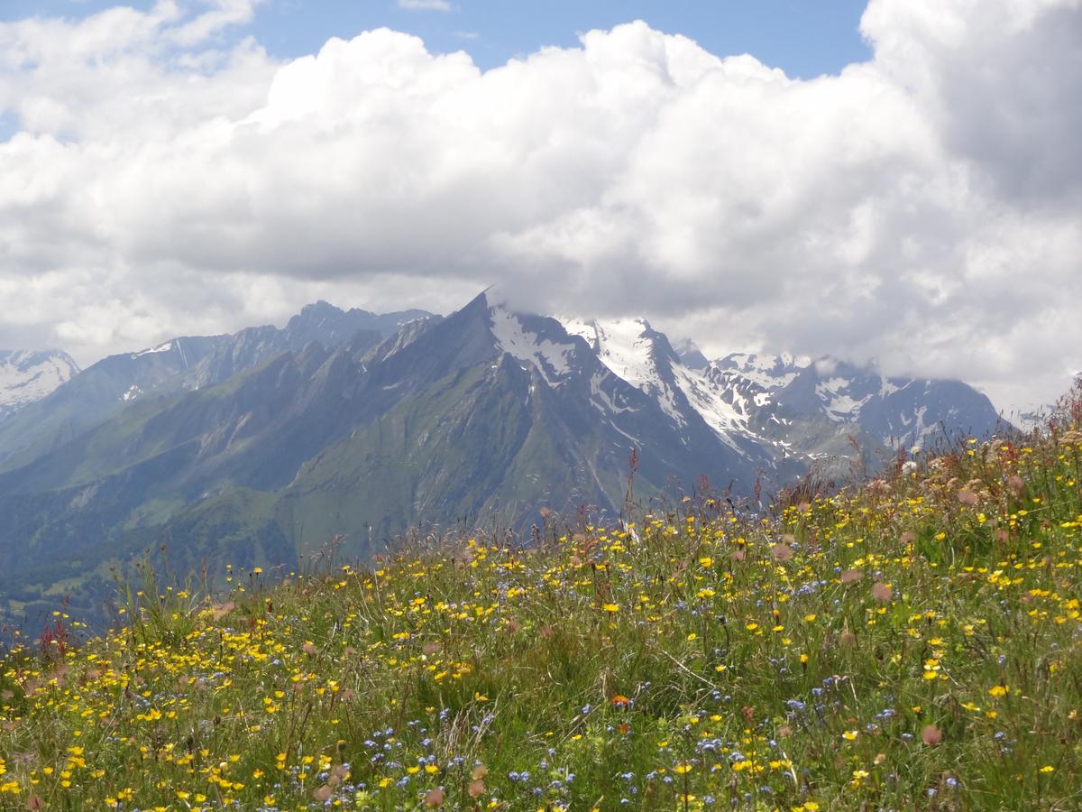 Gaestehaus Zedlacherhof Matrei in Osttirol Bagian luar foto
